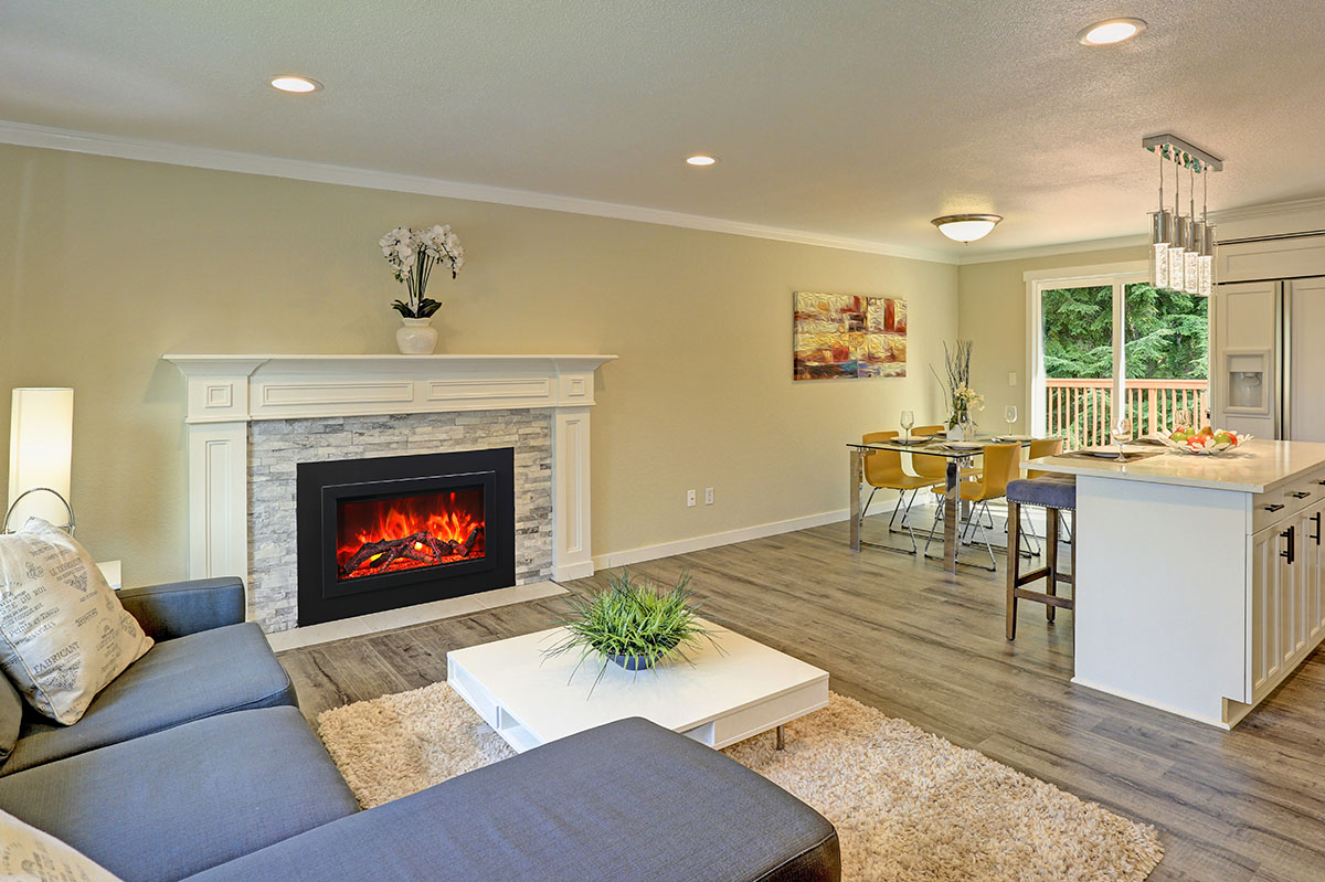 Amantii - 30 inch TRD-INSERT Electric Fireplace Insert - Image 2