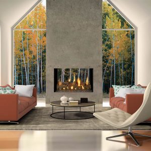 Timber Fire Collection - See-Thru Gas Fireplace