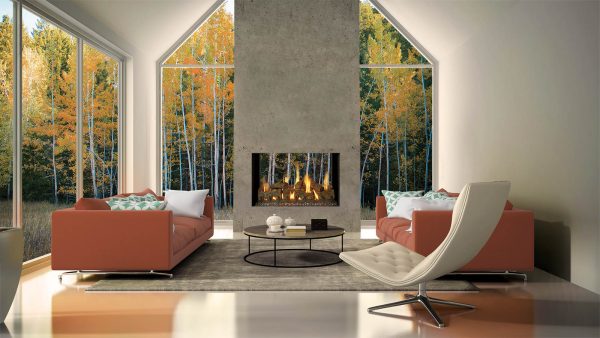 Timber Fire Collection - See-Thru Gas Fireplace