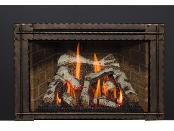 Kozy Heat Roosevelt 29 - Image 3