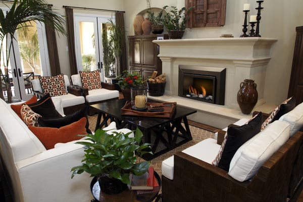 Amantii - The Abbot 30 Gas Insert - Image 2