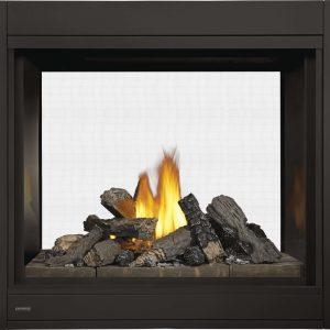 CBHD4 See through Gas Fireplace