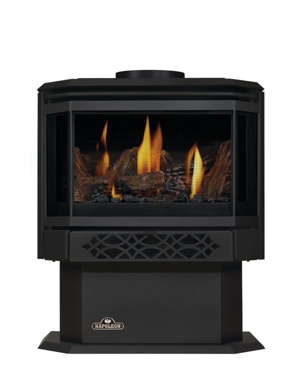 Haliburton™ Direct Vent Gas Stove - Millivolt Ignition