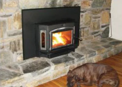 Fireplace Insert