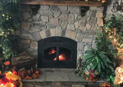 Fireplace Insert