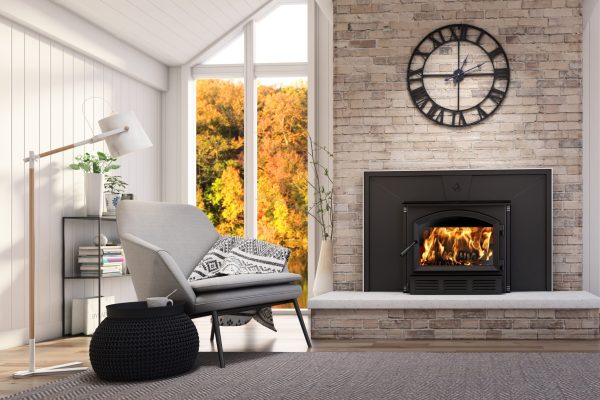 Enerzone - Solution 3.5 Wood Insert