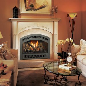 Fireplace X - 564 SERIES PRODUCTS