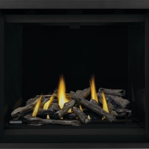 Napoleon - CAX42 Direct Vent Fireplace, Propane, Electronic Ignition
