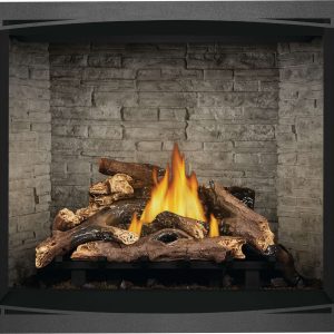 Napoleon - Elevation™ 42 Direct Vent Fireplace, Natural Gas, Electronic Ignition