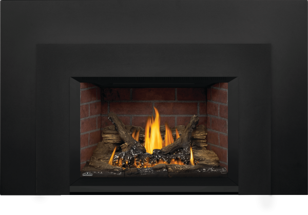 Napoleon - Oakville™ 3 Gas Fireplace Insert, Natural Gas, Electronic Ignition
