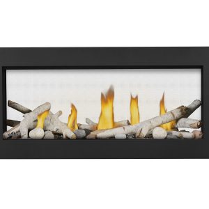 Napoleon - Vector™ 38 See Through Direct Vent Fireplace, Natural Gas, Electronic Ignition