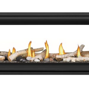 Napoleon - Vector™ 62 See Through Direct Vent Fireplace, Natural Gas, Electronic Ignition