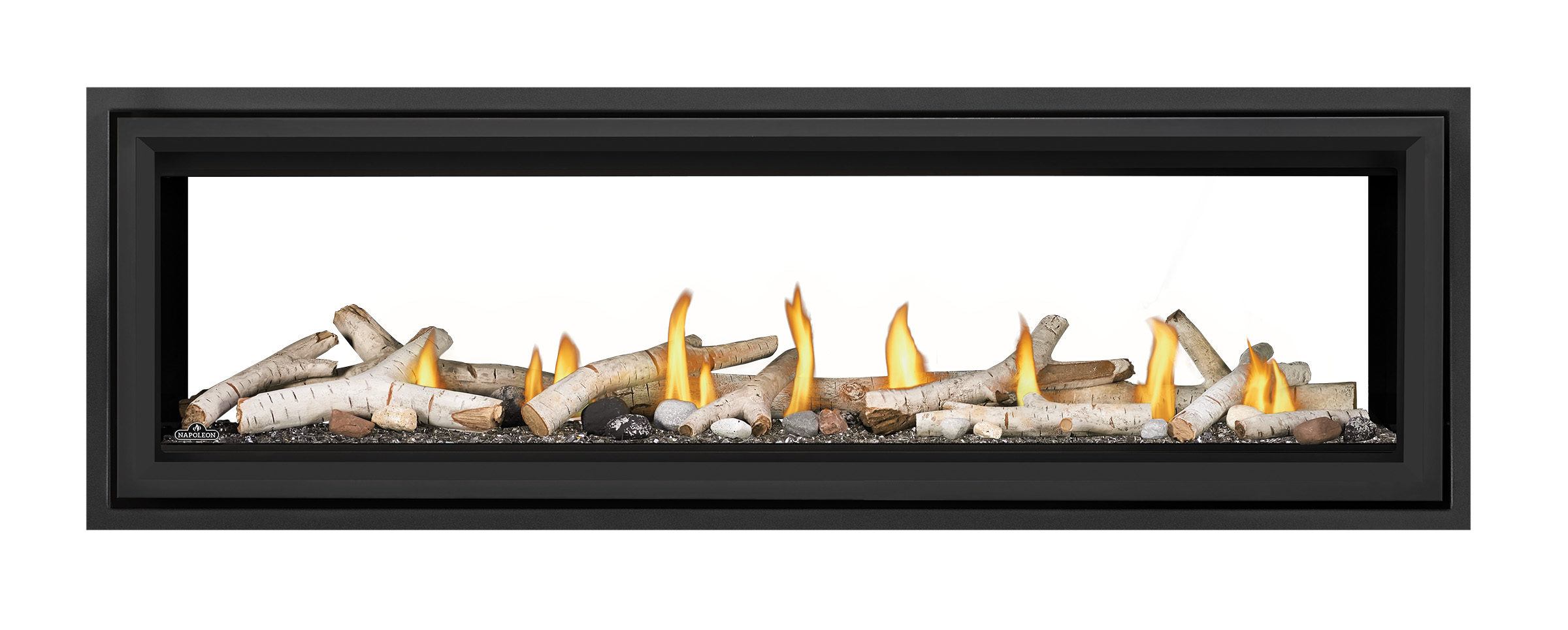 Napoleon - Vector™ 62 See Through Direct Vent Fireplace, Natural Gas, Electronic Ignition