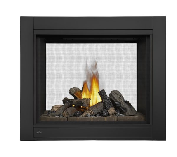 Napoleon - Ascent™ Multi-View See Through Direct Vent Fireplace, Natural Gas, Electronic Ignition