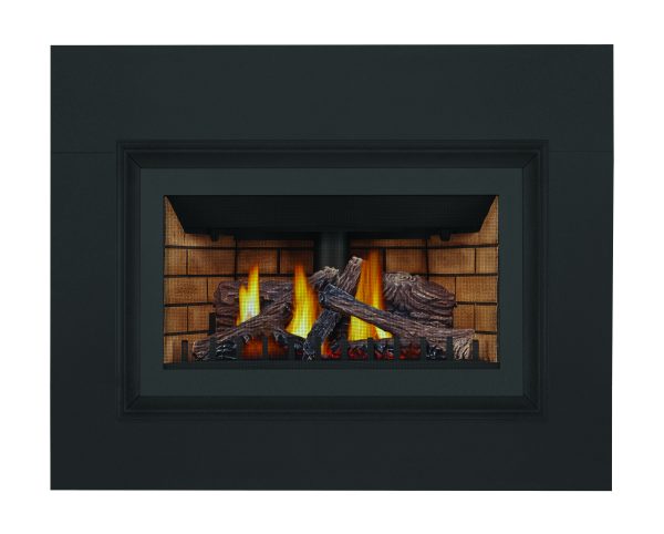 Napoleon - Inspiration™ ZC Gas Fireplace Insert , Natural Gas, Millivolt Ignition