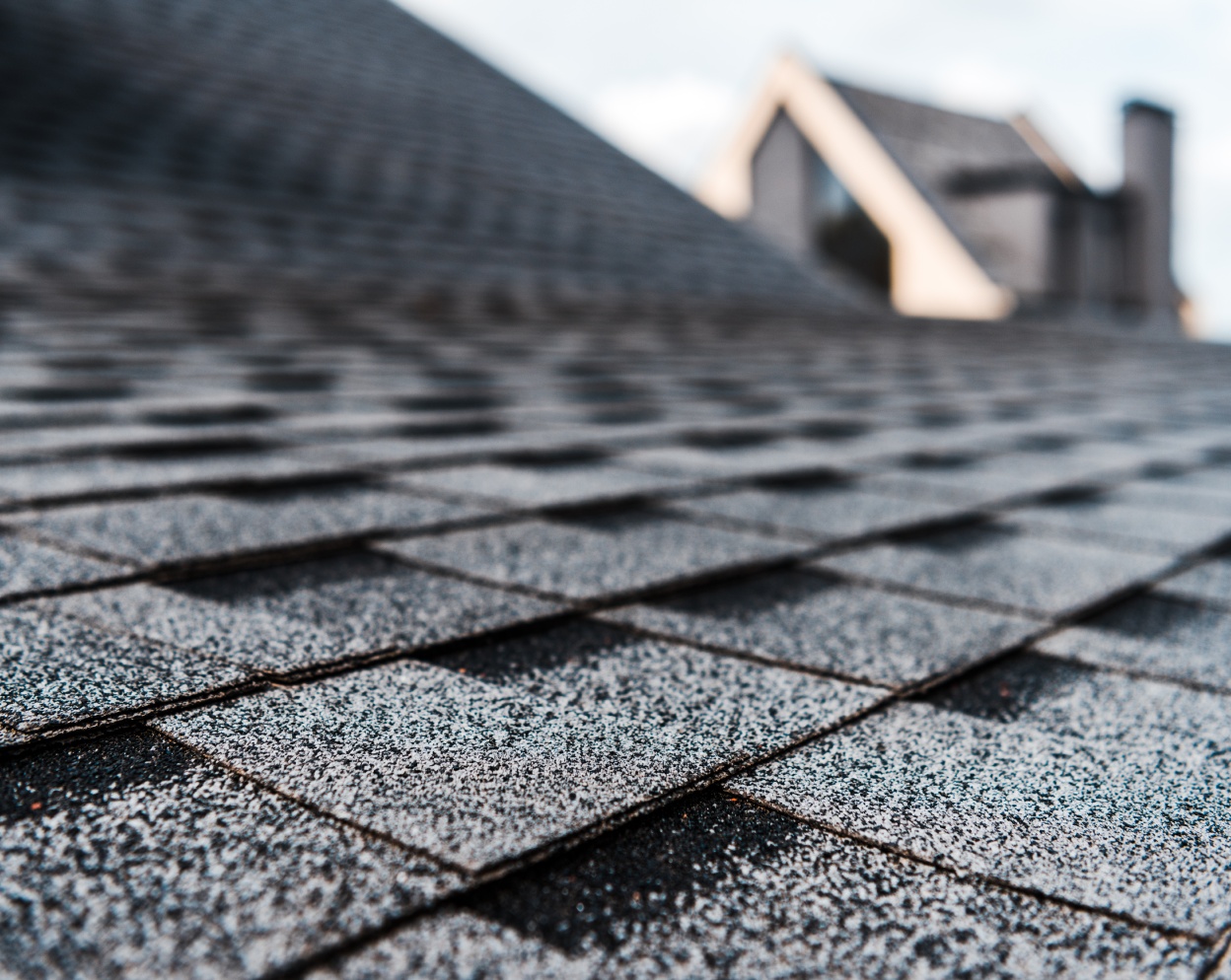 roofing services