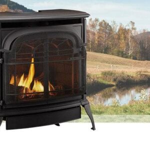 Vermont Castings Stardance Direct Vent Gas Stove